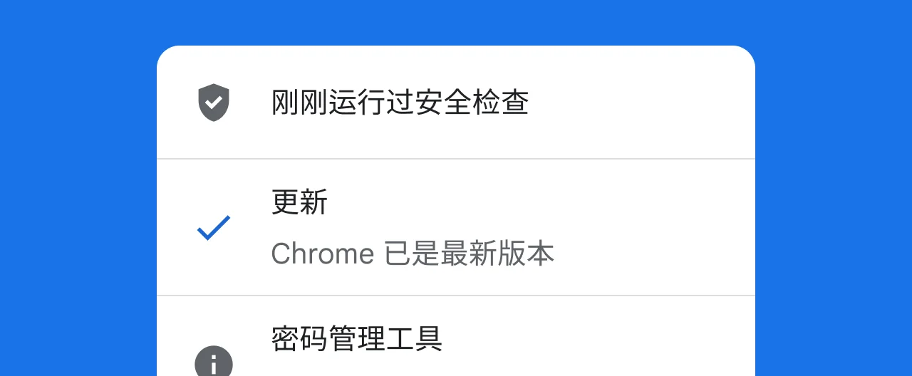 谷歌浏览器安全检查